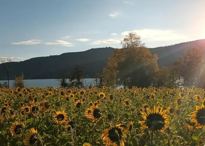 Hideaway Apartmán *