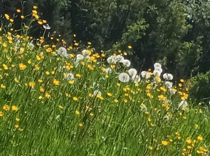 Hideaway Apartmán Zell am Moos